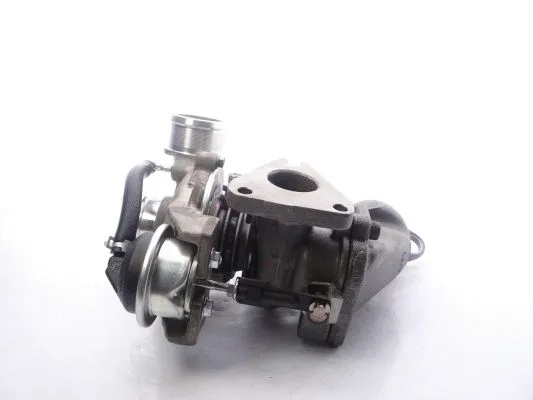 Charger, charging (supercharged/turbocharged)