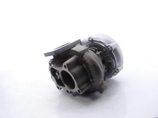 Charger, charging (supercharged/turbocharged) (722687-5001S)