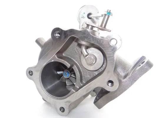 Charger, charging (supercharged/turbocharged) (700716-5011S)