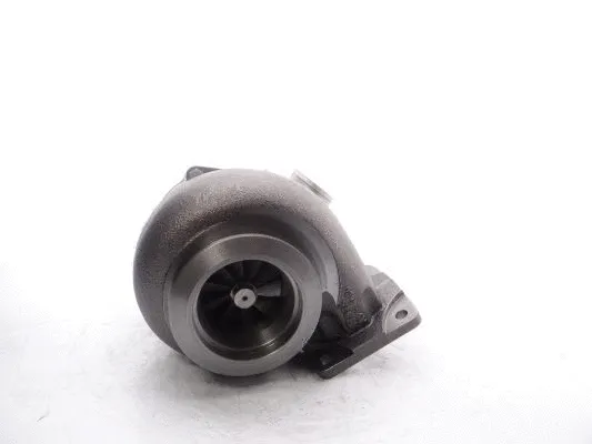 Charger, charging (supercharged/turbocharged) (466007-5006S)