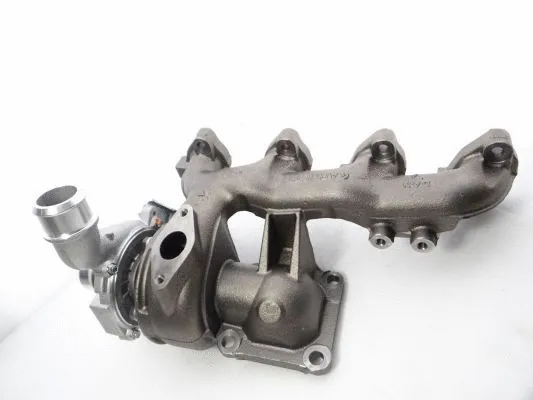 Charger, charging (supercharged/turbocharged)