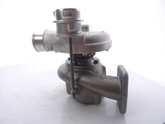 Charger, charging (supercharged/turbocharged)