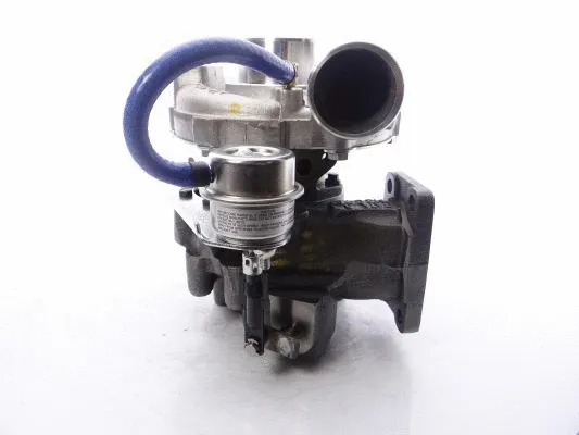 Charger, charging (supercharged/turbocharged)