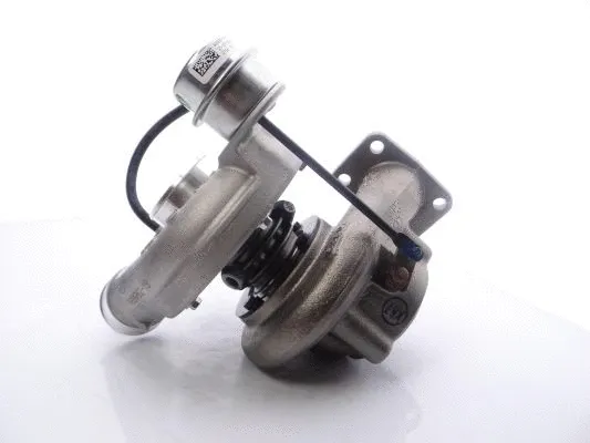 Charger, charging (supercharged/turbocharged)