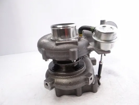 Charger, charging (supercharged/turbocharged)