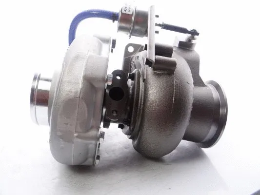 Charger, charging (supercharged/turbocharged)