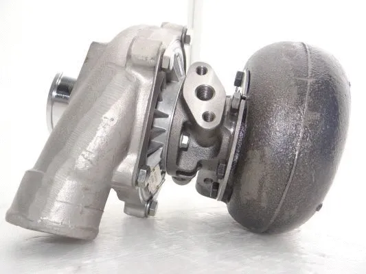 Charger, charging (supercharged/turbocharged)