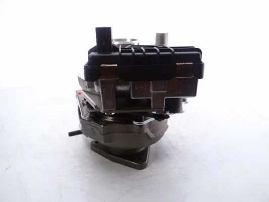 Charger, charging (supercharged/turbocharged)