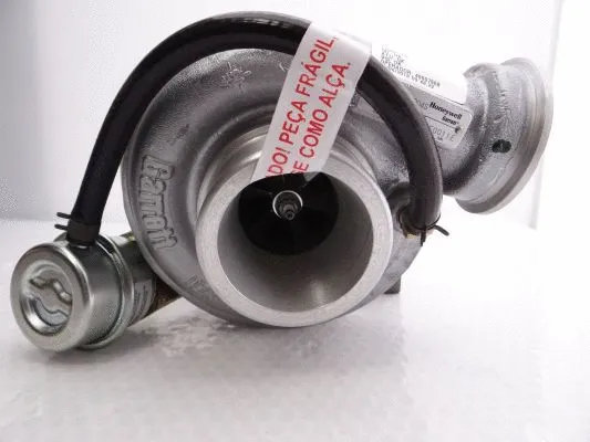 Charger, charging (supercharged/turbocharged)