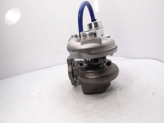 Charger, charging (supercharged/turbocharged)