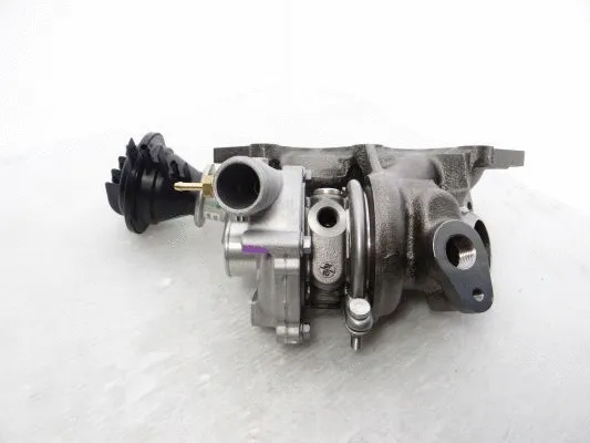 Charger, charging (supercharged/turbocharged)