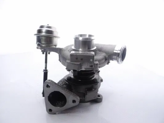 Charger, charging (supercharged/turbocharged) (454098-5003S)