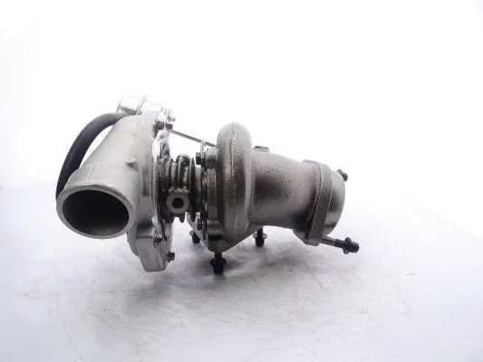 Charger, charging (supercharged/turbocharged)