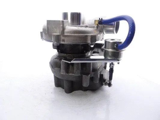 Charger, charging (supercharged/turbocharged)