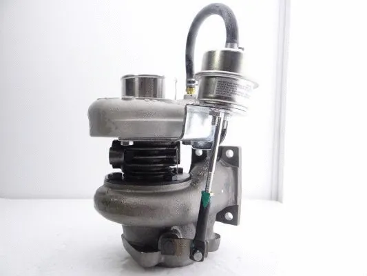 Charger, charging (supercharged/turbocharged)