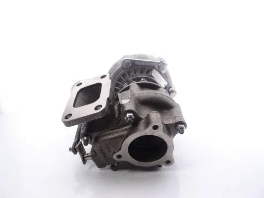 Charger, charging (supercharged/turbocharged) (466794-5001S)