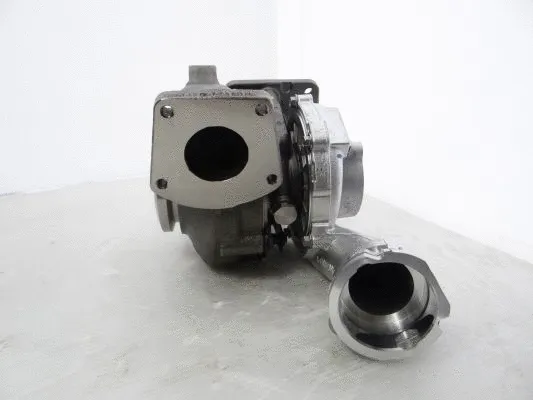 Charger, charging (supercharged/turbocharged) (720931-5005S)