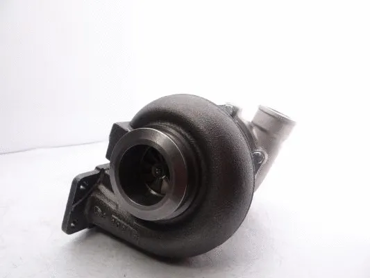 Charger, charging (supercharged/turbocharged) (466746-5004S)