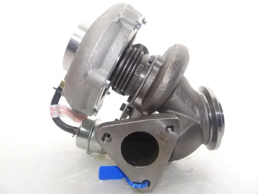 Charger, charging (supercharged/turbocharged)