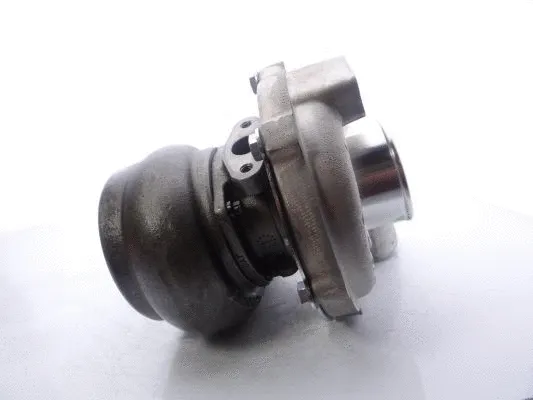 Charger, charging (supercharged/turbocharged) (452234-5002S)