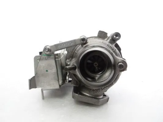 Charger, charging (supercharged/turbocharged) (762965-5020S)