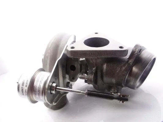 Charger, charging (supercharged/turbocharged) (454169-5004S)