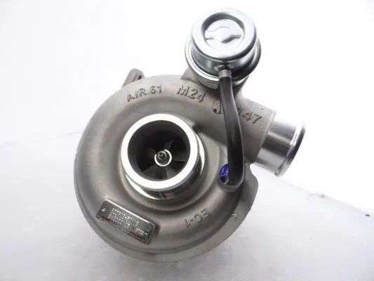 Charger, charging (supercharged/turbocharged)