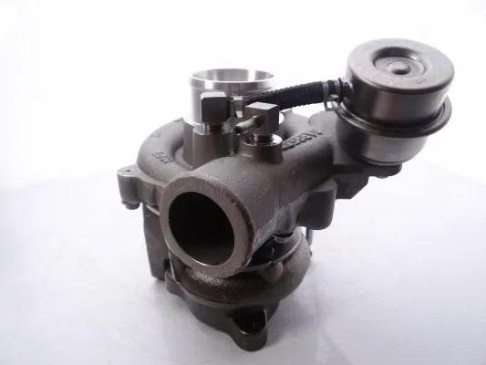 Charger, charging (supercharged/turbocharged)