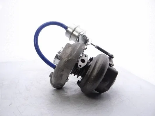 Charger, charging (supercharged/turbocharged)