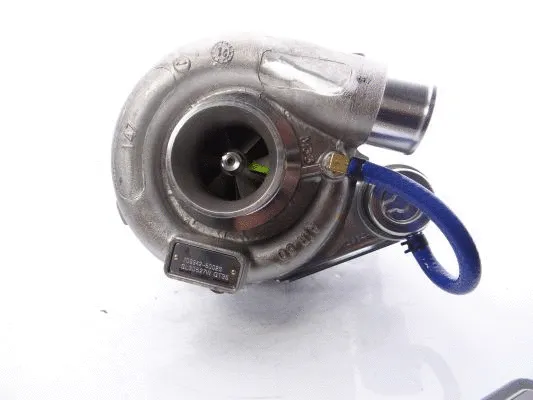 Charger, charging (supercharged/turbocharged)