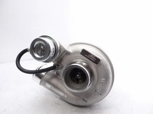 Charger, charging (supercharged/turbocharged)