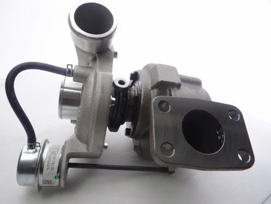 Charger, charging (supercharged/turbocharged)