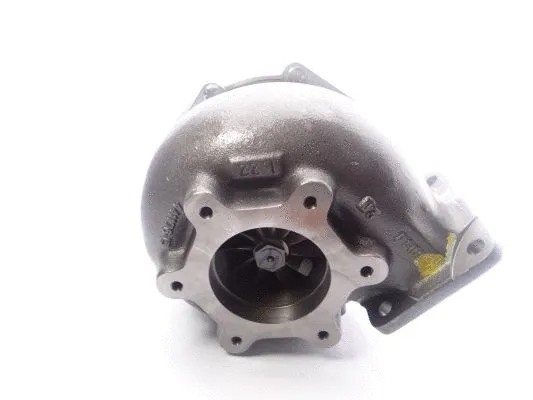 Charger, charging (supercharged/turbocharged) (466818-5001S)