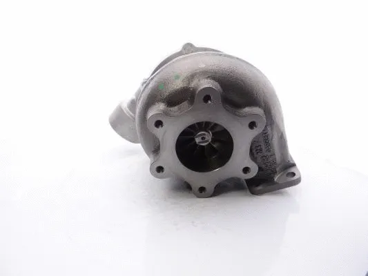 Charger, charging (supercharged/turbocharged)