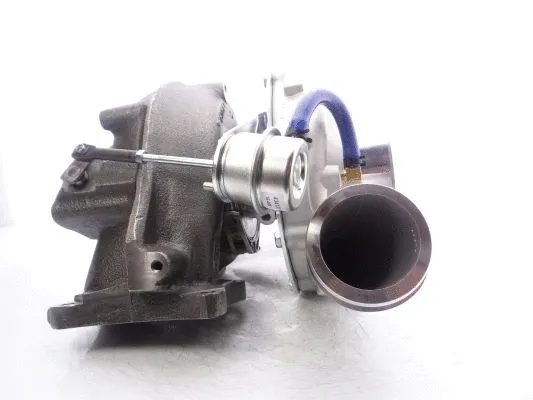 Charger, charging (supercharged/turbocharged)