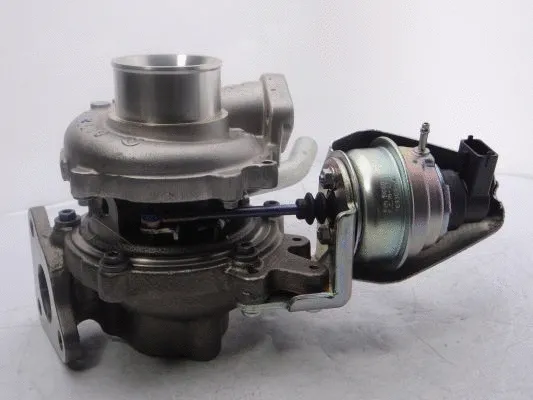 Charger, charging (supercharged/turbocharged)