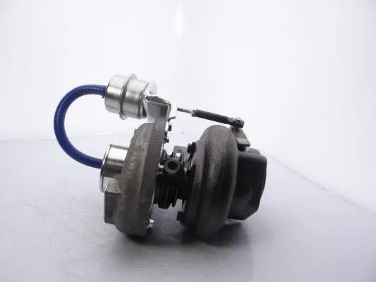 Charger, charging (supercharged/turbocharged)