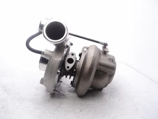 Charger, charging (supercharged/turbocharged)