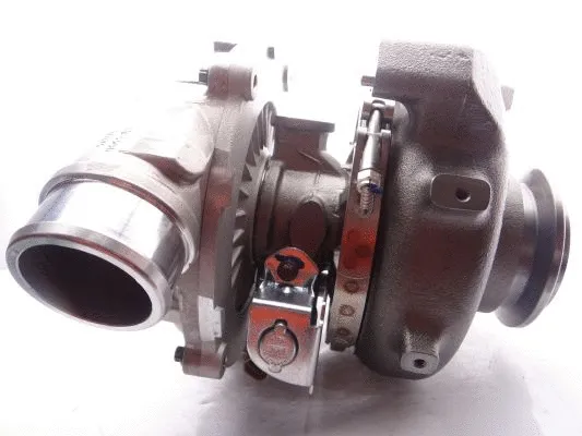 Charger, charging (supercharged/turbocharged)