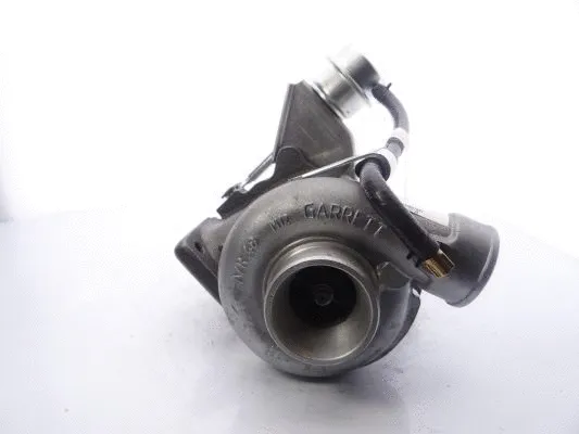 Charger, charging (supercharged/turbocharged) (703325-5001S)