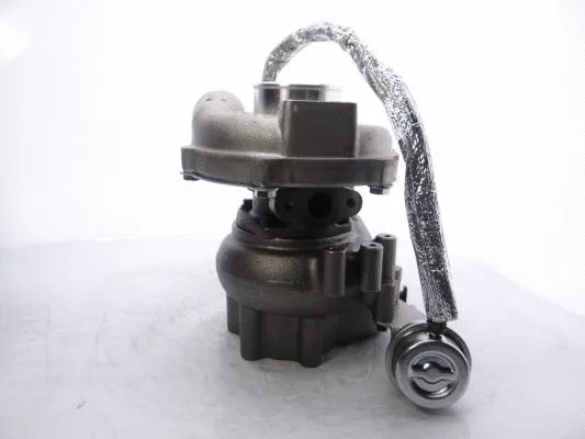 Charger, charging (supercharged/turbocharged)