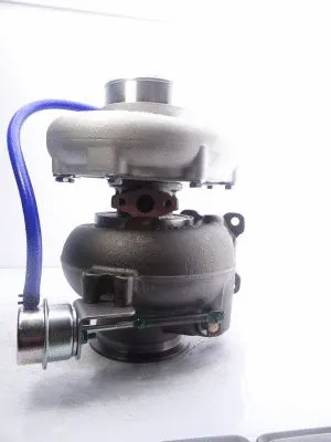 Charger, charging (supercharged/turbocharged)