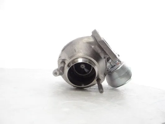 Charger, charging (supercharged/turbocharged) (750431-5013S)