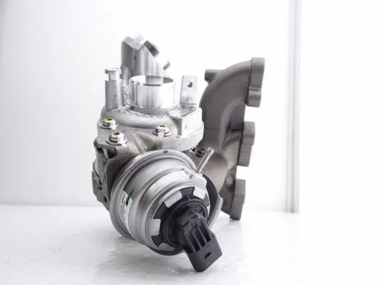 Charger, charging (supercharged/turbocharged) (789016-5002S)