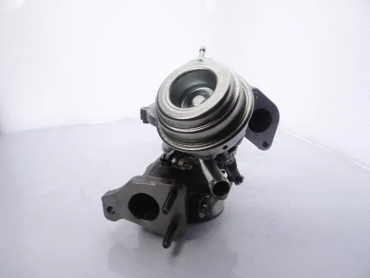 Charger, charging (supercharged/turbocharged) (809977-5001S)