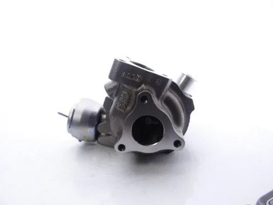 Charger, charging (supercharged/turbocharged) (794097-5001S)