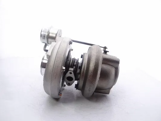 Charger, charging (supercharged/turbocharged) (711736-5001S)