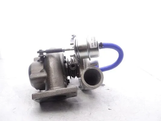 Charger, charging (supercharged/turbocharged)