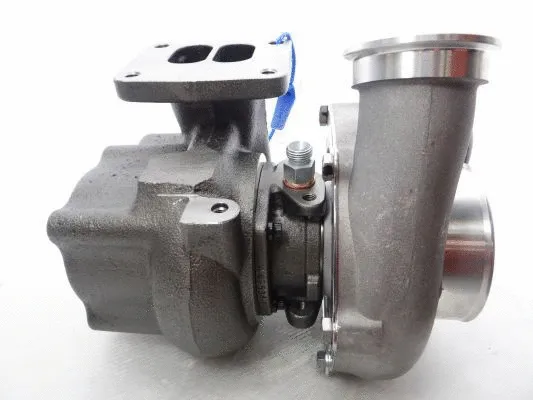 Charger, charging (supercharged/turbocharged)