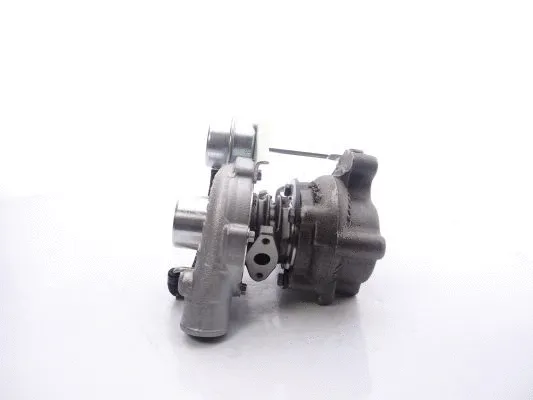 Charger, charging (supercharged/turbocharged) (701796-5001S)